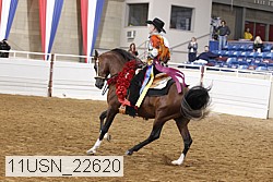11usn_22620 proof