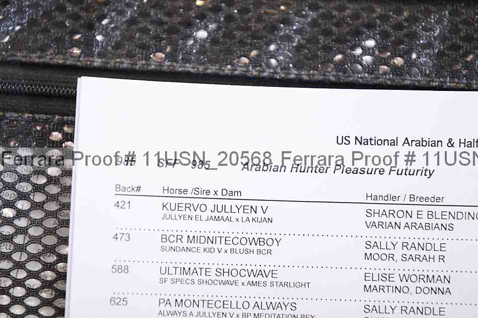 Proof 11usn_20568