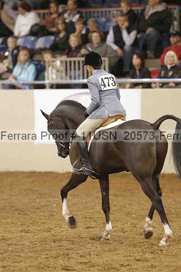 Proof 11usn_20573
