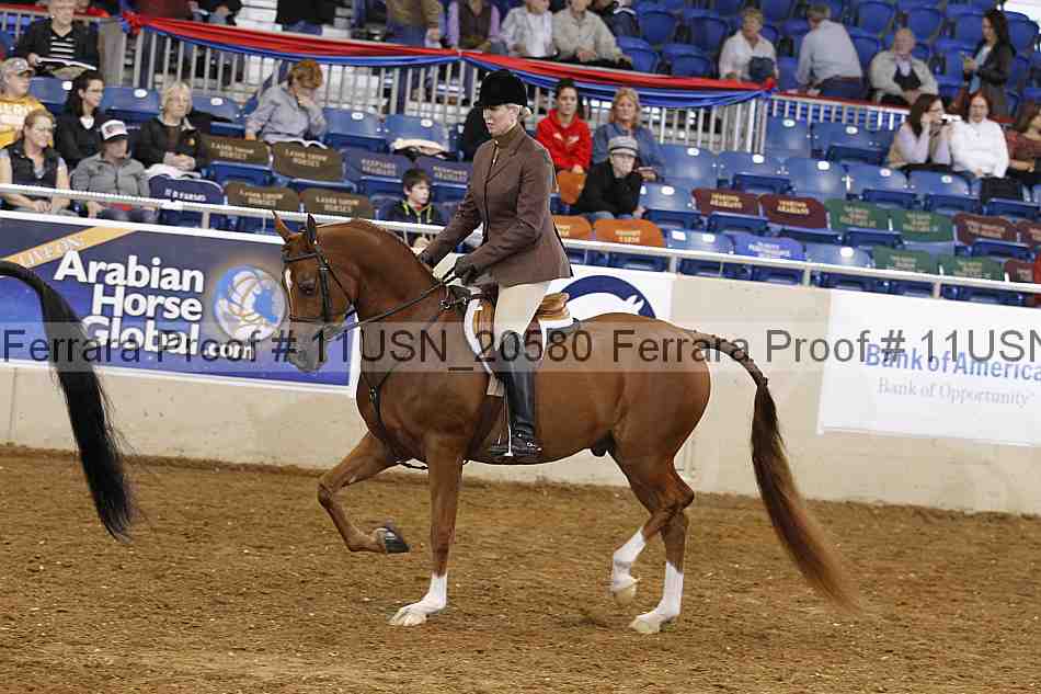 Proof 11usn_20580