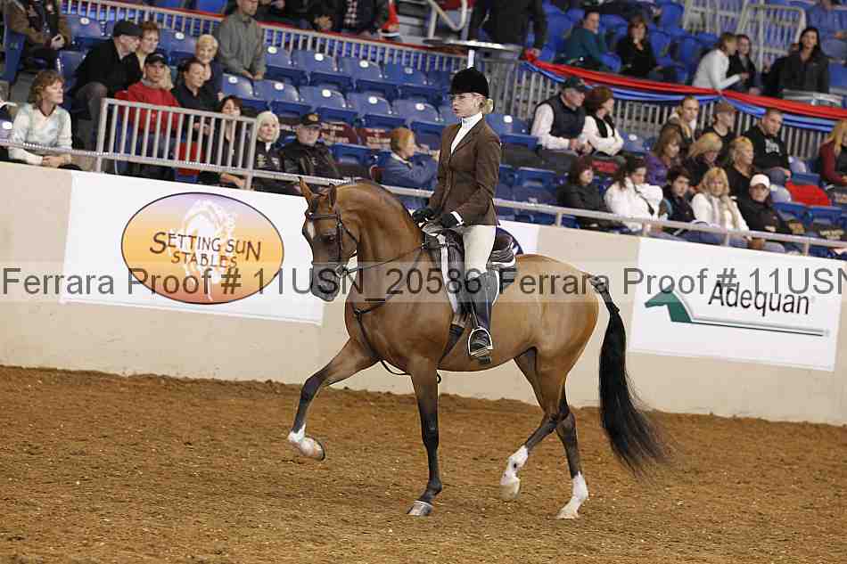 Proof 11usn_20586