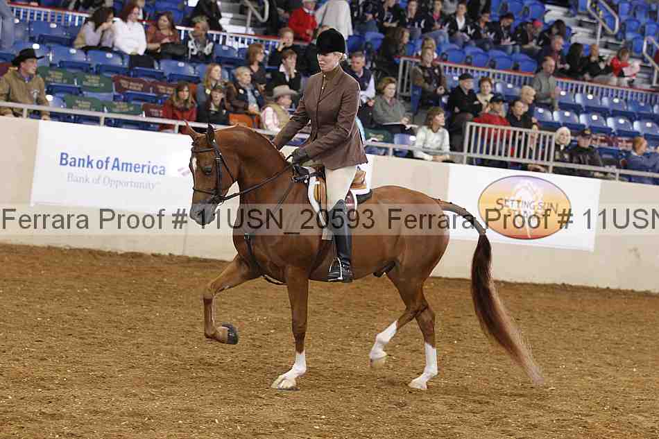 Proof 11usn_20593