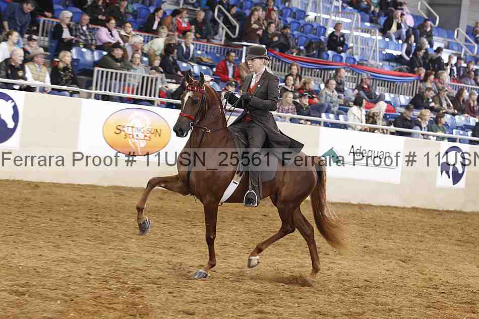 Proof 11usn_25561