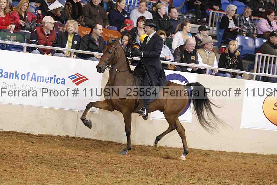 Proof 11usn_25564