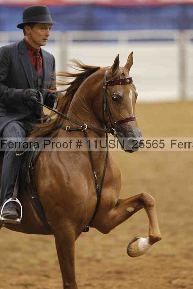 Proof 11usn_25565