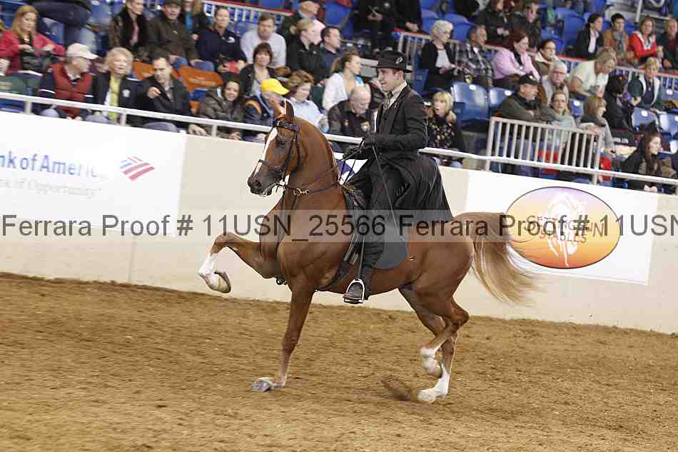 Proof 11usn_25566