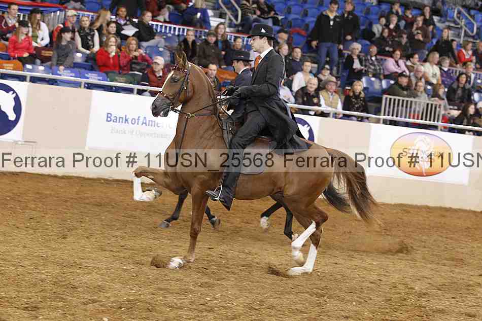 Proof 11usn_25568