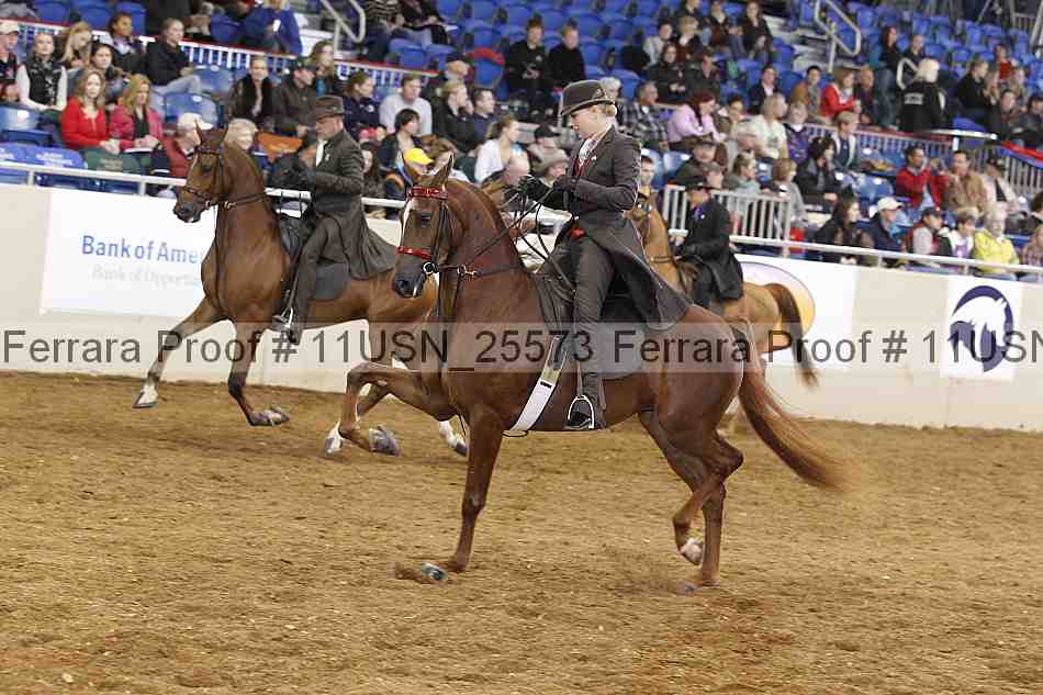 Proof 11usn_25573