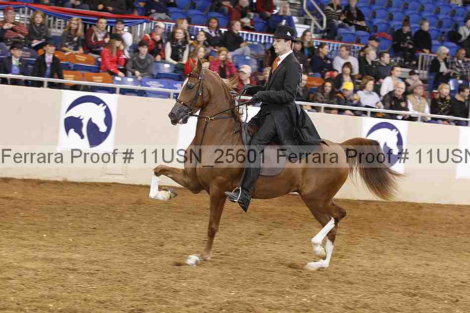 Proof 11usn_25601
