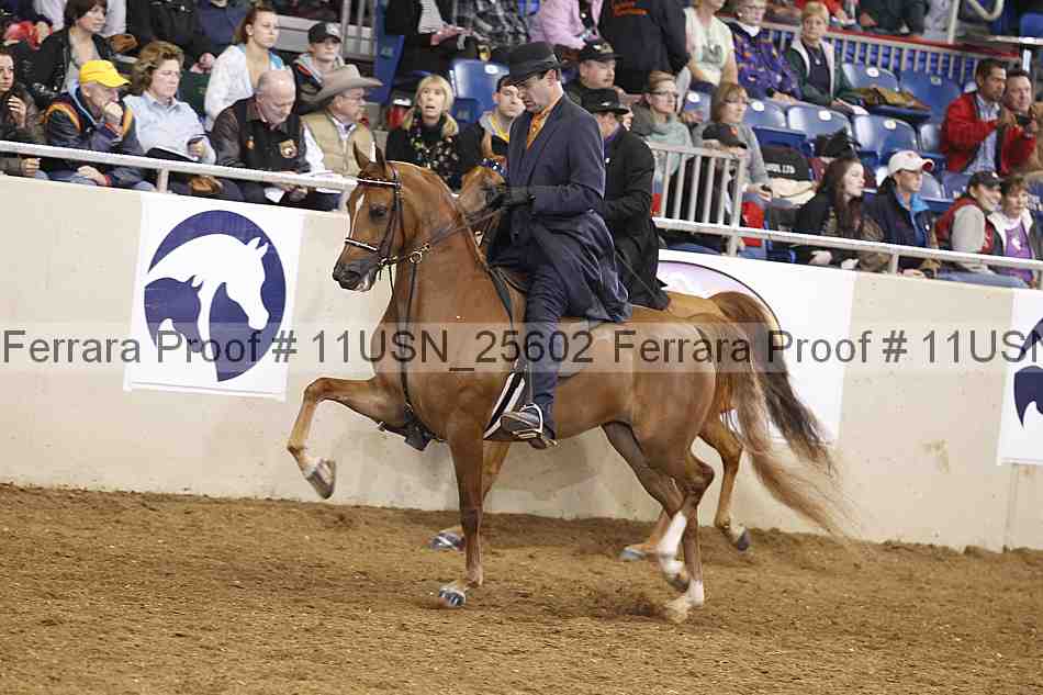 Proof 11usn_25602