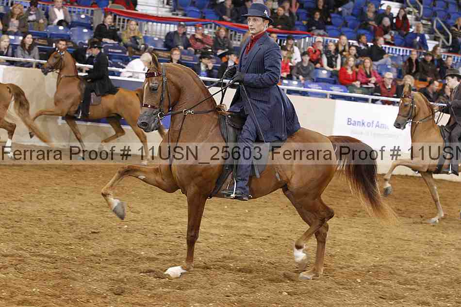 Proof 11usn_25603