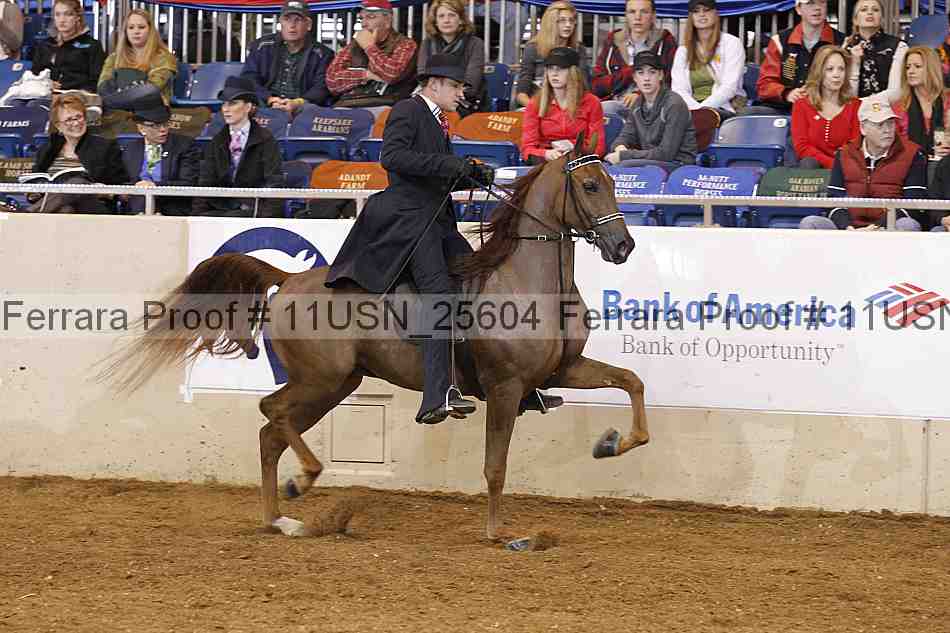 Proof 11usn_25604