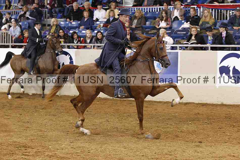 Proof 11usn_25607