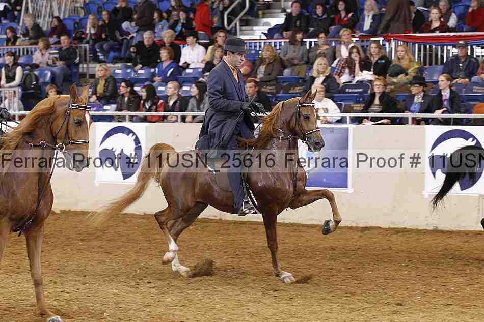 Proof 11usn_25616