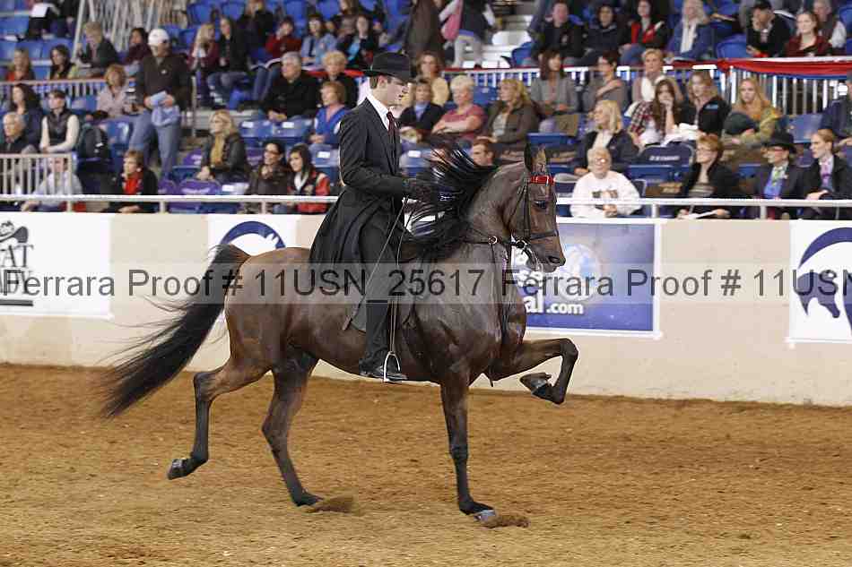 Proof 11usn_25617
