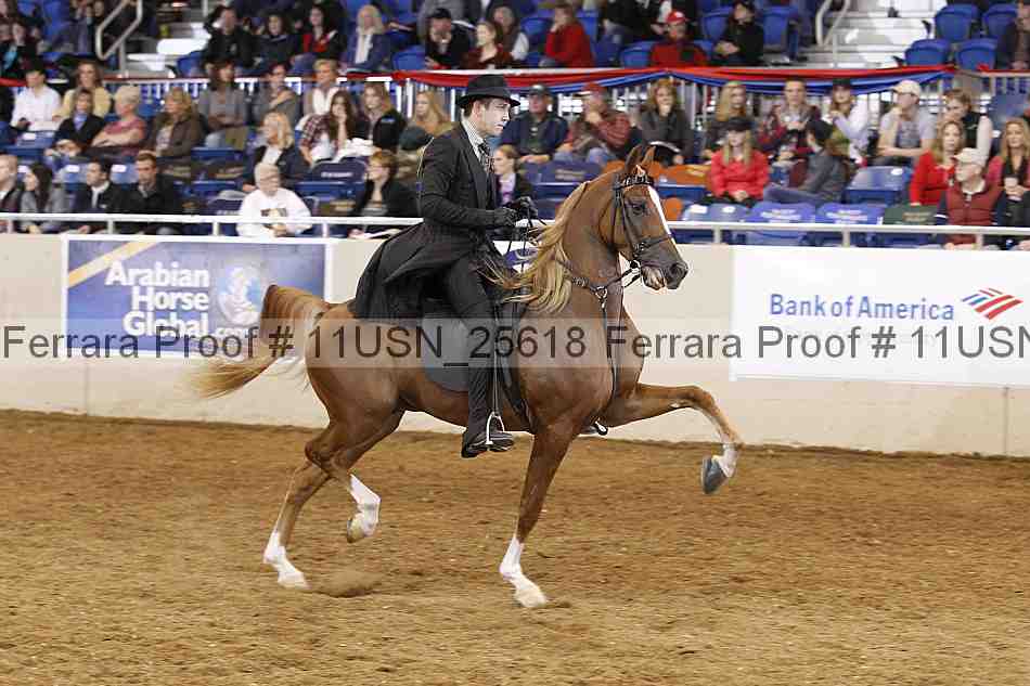 Proof 11usn_25618