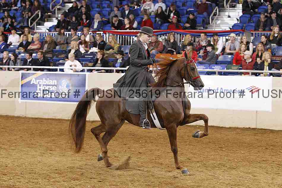 Proof 11usn_25619