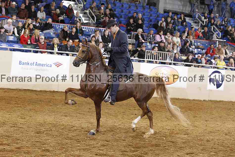 Proof 11usn_25636