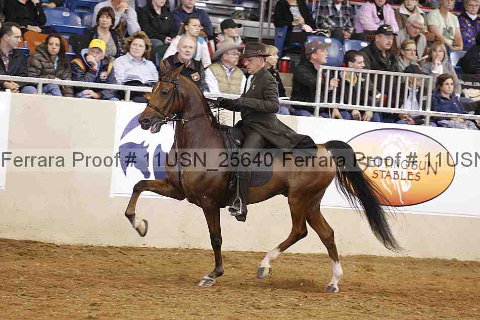 Proof 11usn_25640