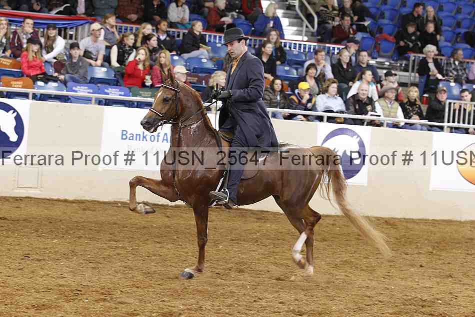 Proof 11usn_25647