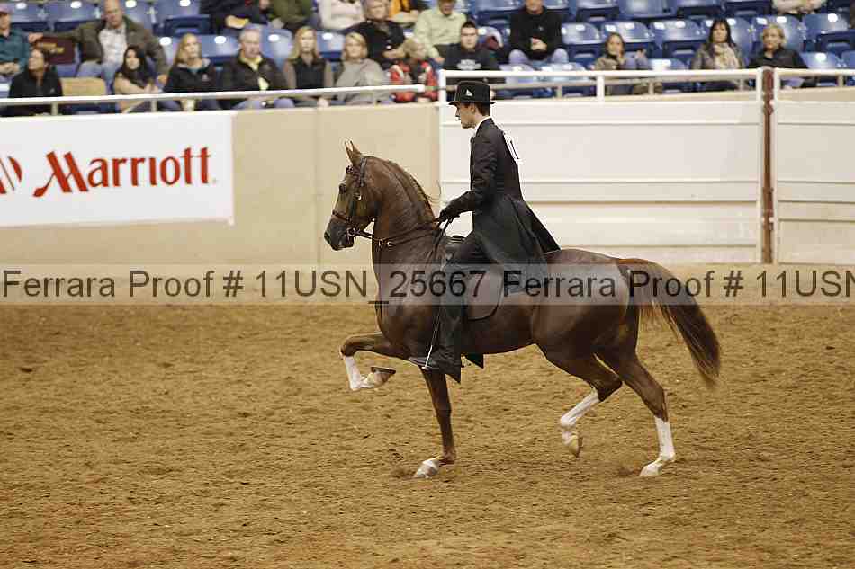 Proof 11usn_25667