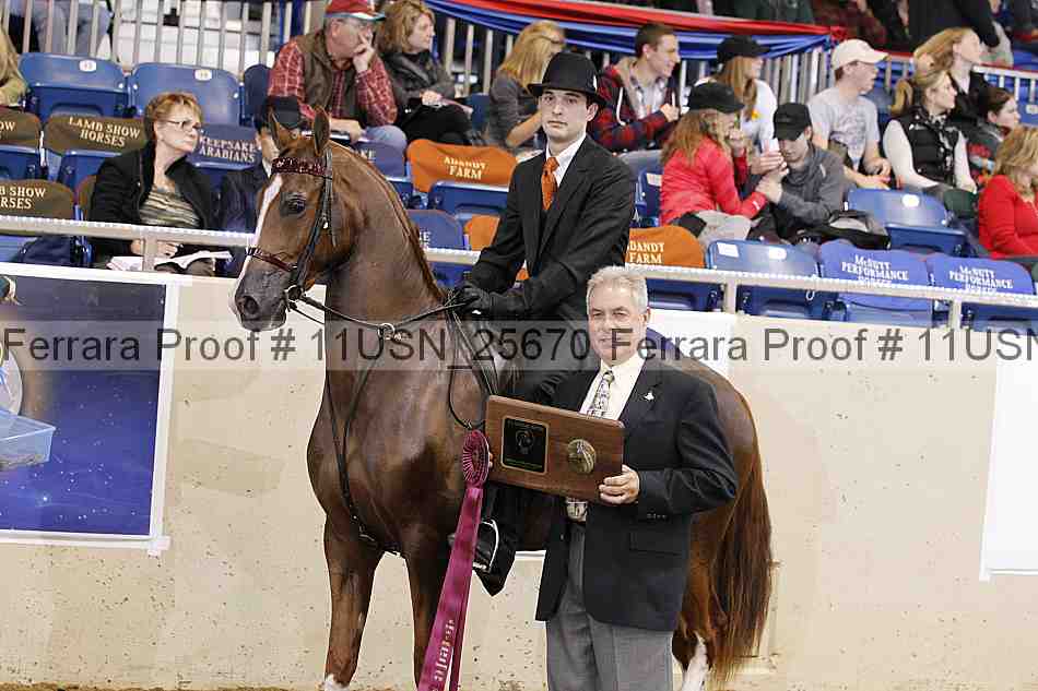 Proof 11usn_25670
