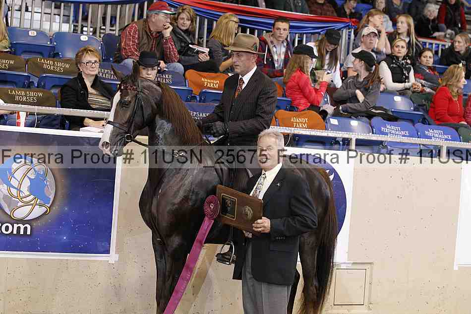 Proof 11usn_25675