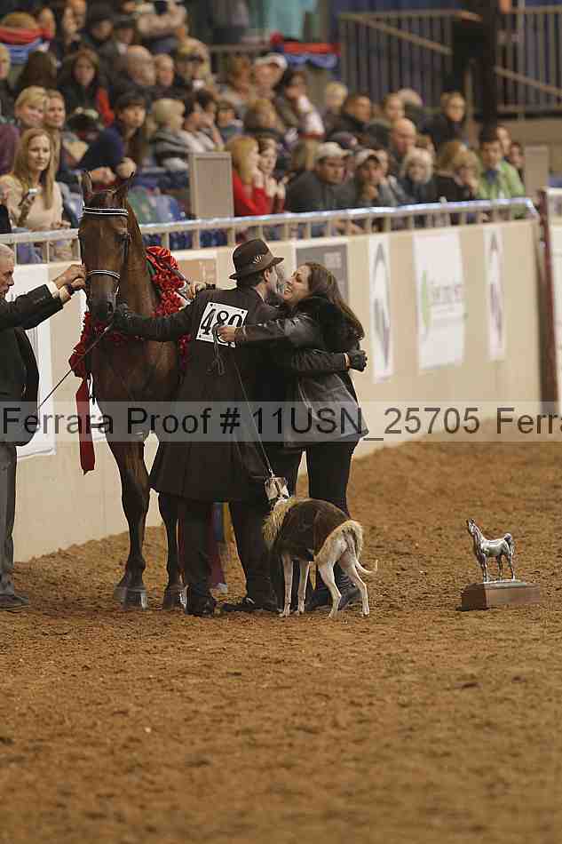 Proof 11usn_25705