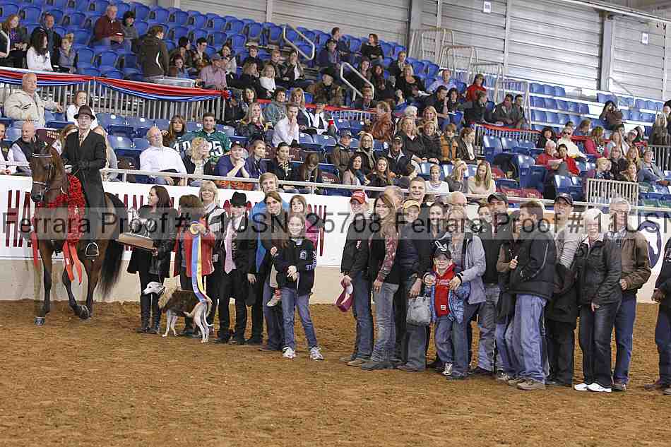 Proof 11usn_25708