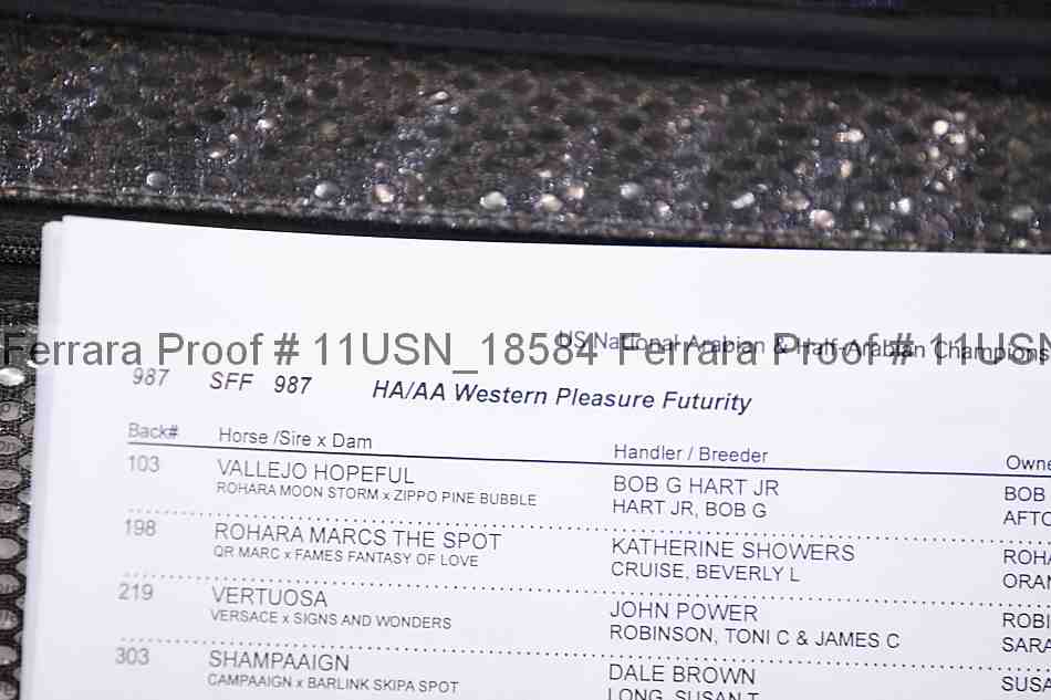 Proof 11usn_18584