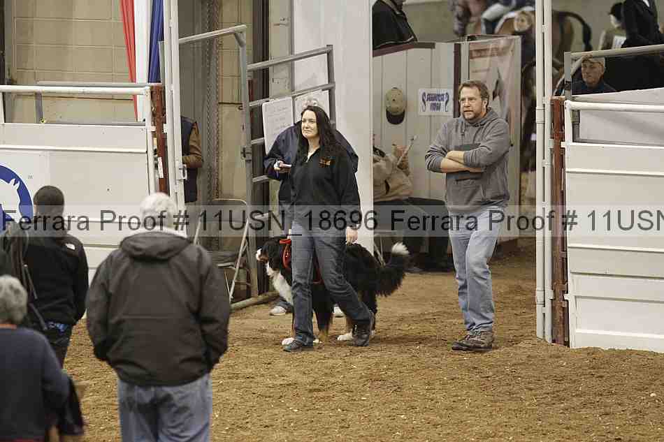 Proof 11usn_18696