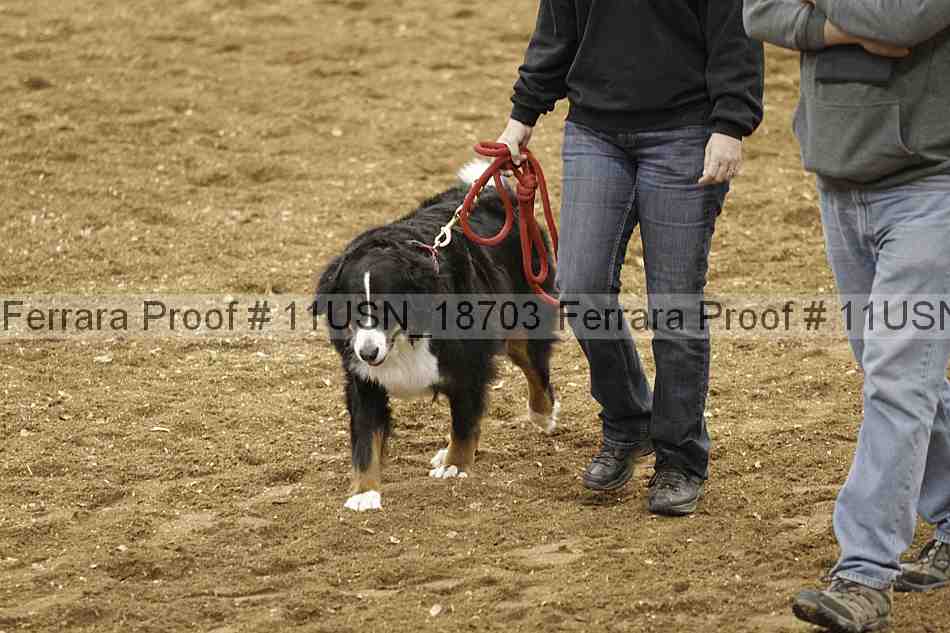 Proof 11usn_18703
