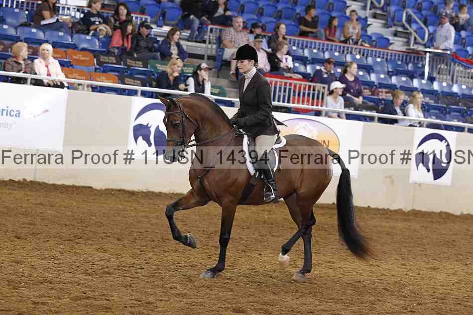Proof 11usn_14394