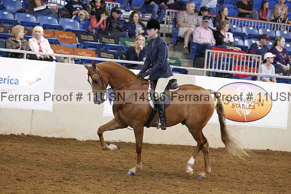 Proof 11usn_14396