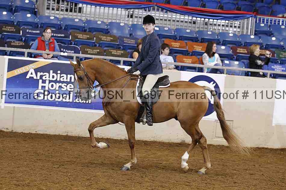 Proof 11usn_14397