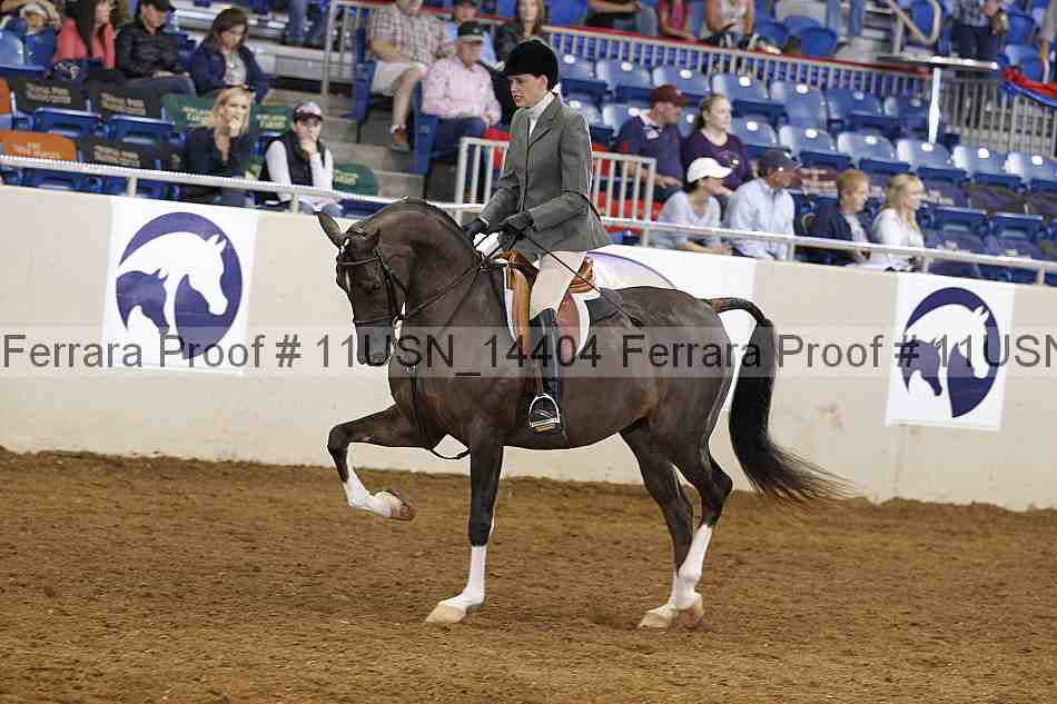 Proof 11usn_14404