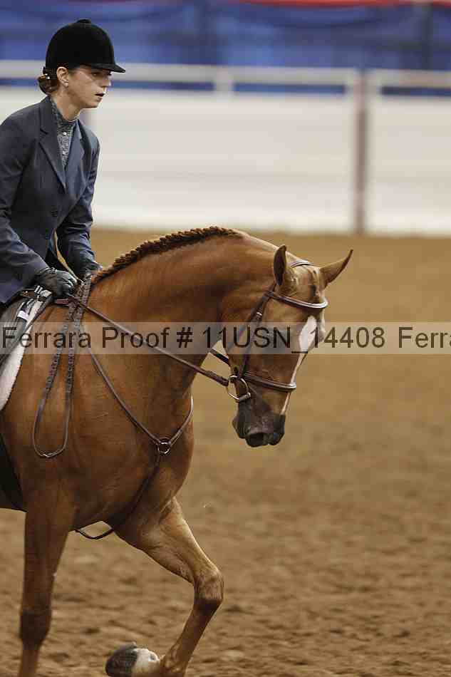 Proof 11usn_14408
