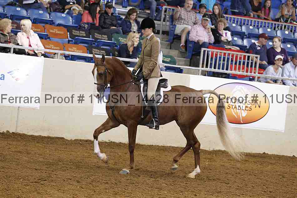 Proof 11usn_14428
