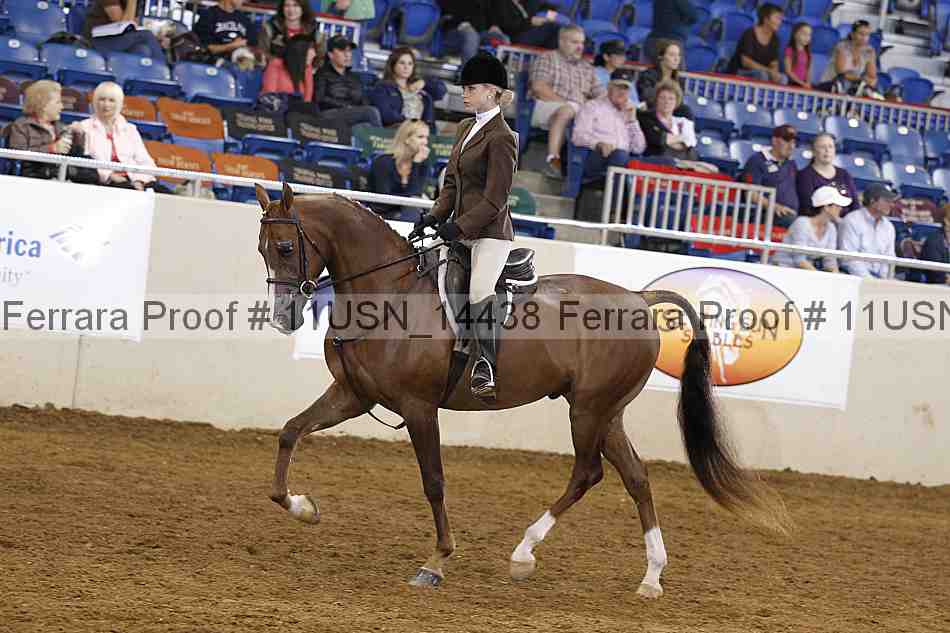 Proof 11usn_14438