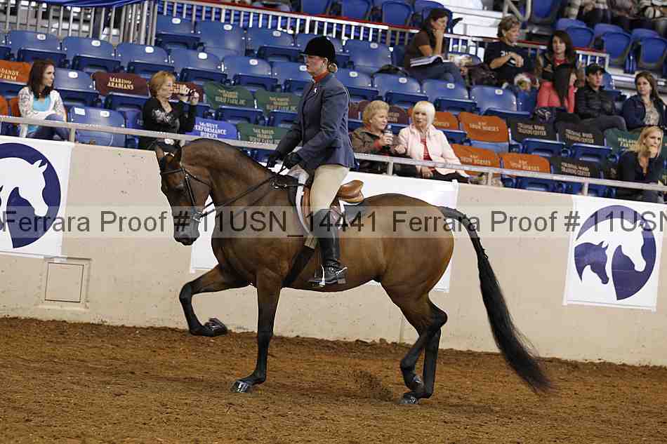 Proof 11usn_14441