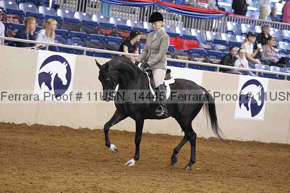 Proof 11usn_14445