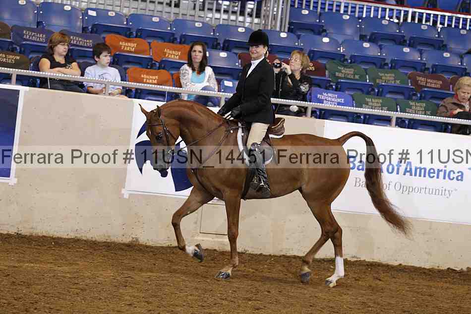 Proof 11usn_14451