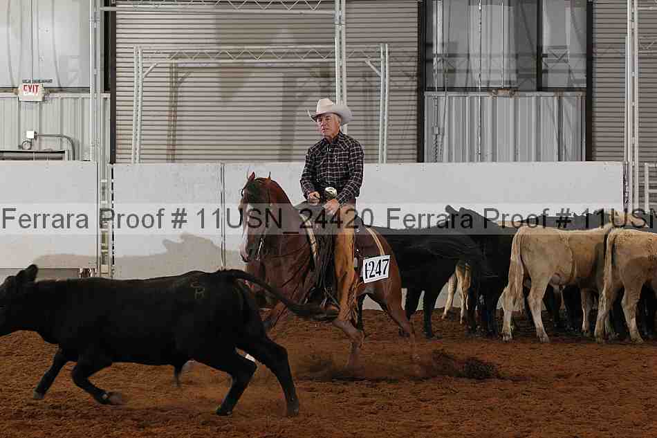Proof 11usn_24420