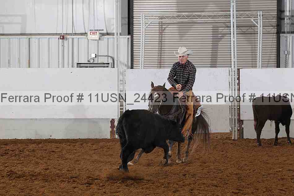 Proof 11usn_24423