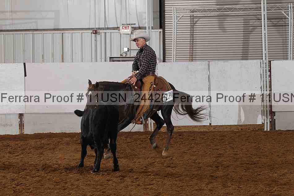 Proof 11usn_24426
