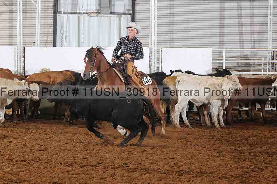 Proof 11usn_30918