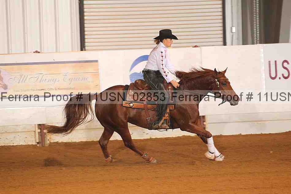 Proof 11usn_02853