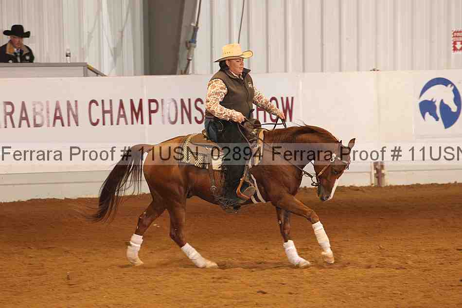 Proof 11usn_02894