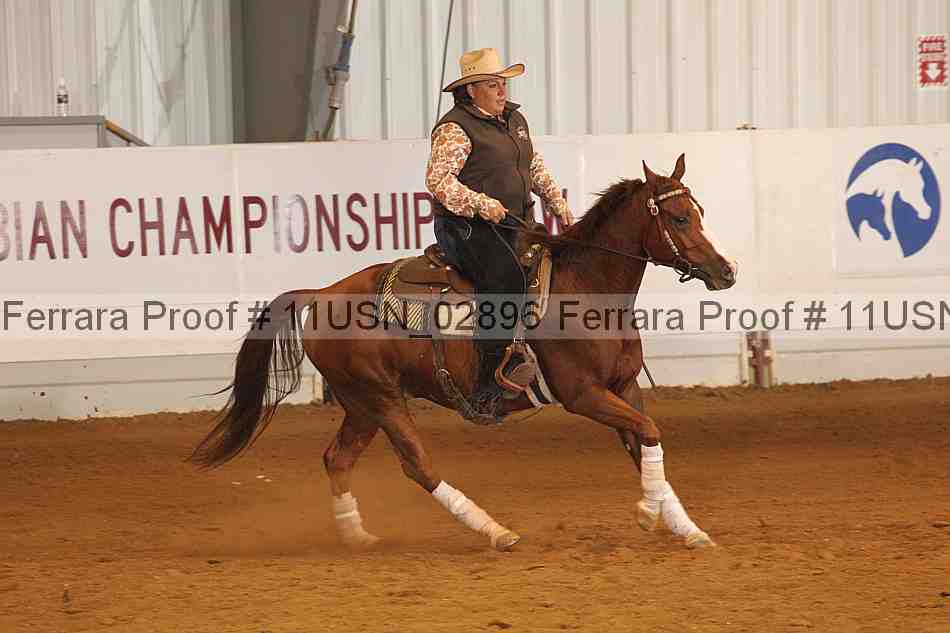 Proof 11usn_02896
