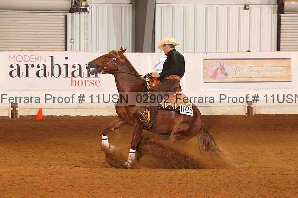Proof 11usn_02902